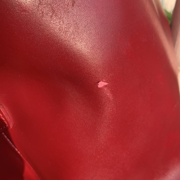 PLUM RED LONGCHAMP MINIMAL BEAUTY: crossbody, spacious, feminine. Leather bag. - Picture 6 of 17